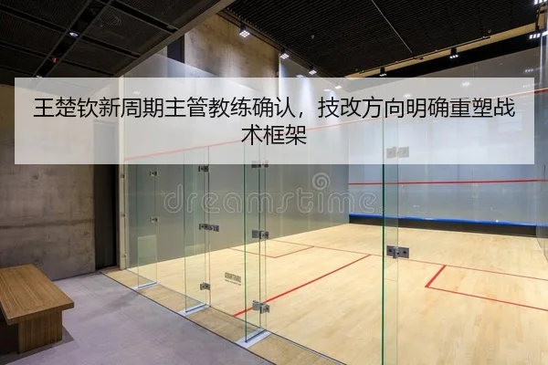 王楚钦新周期主管教练确认，技改方向明确重塑战术框架